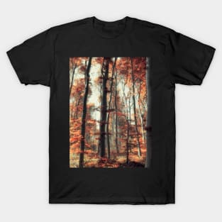 Fall in the woods T-Shirt